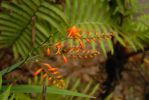 Hawaii Volcanoes National Park