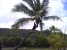 Wailua River