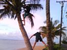 Anini Beach