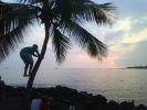 Kona