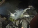 oberhalb der Rainbowfalls, Hilo