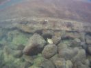 Ahalanui Beach Park