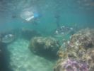 Kapoho Tide Pools