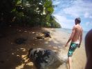 Wyllie Beach