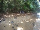 Wyllie Beach