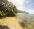Wyllie Beach