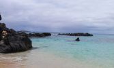 Waimea Bay Beach Park