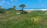 Waiehu Beach Park