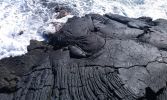 Hawaiian Paradise Park, Puna Coast