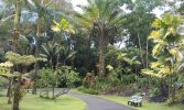Pana'ewa Rainforest Zoo, Hilo