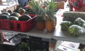 Hilo Farmer's Market