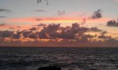 Hawaiian Paradise Park, Puna Coast