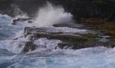 Hawaiian Paradise Park, Puna Coast