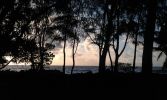 Hawaiian Paradise Park, Puna Coast