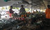 Hilo Farmer's Market