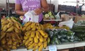 Hilo Farmer's Market