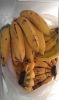 Pahoa Vacation Rental