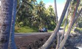 Puna Coast Milepost 15 