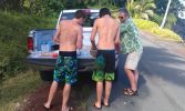 Puna Coast Milepost 15 