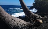 Puna Coast Milepost 15 