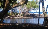 Ahalanui Beach Park