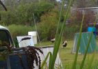 Pahoa Vacation Rental