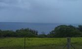 Onomea Scenic Drive