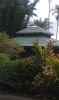 Onomea Scenic Drive