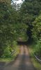 Old Mamalahoa Road 