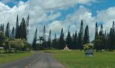 IMG_20120727_121955.jpg