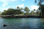 Coconut Island