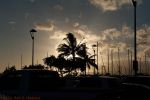_D704483.jpg
