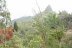 Pali Lookout