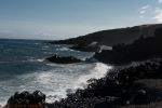 _D705671.jpg