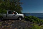 Hawaiian Paradise Park, Puna Coast
