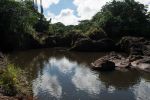 oberhalb der Rainbowfalls, Hilo