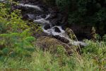 _D705987.jpg