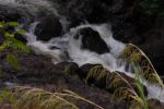 _D705989.jpg