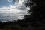 Hawaiian Paradise Park, Puna Coast