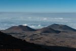 _D706259.jpg