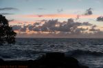 Hawaiian Paradise Park, Puna Coast