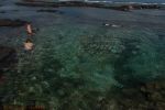 Kapoho Tide Pools