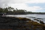 Punalu'u Black Sand Beach