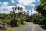 New Kaimu Black Sand Beach
