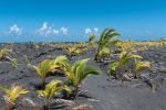 New Kaimu Black Sand Beach
