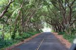 Puna Coast