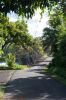 Puna Coast Milepost 15