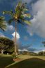 Puamana Princeville Vacation Rental
