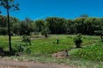 _D706987.jpg