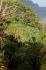 Puamana Princeville Vacation Rental